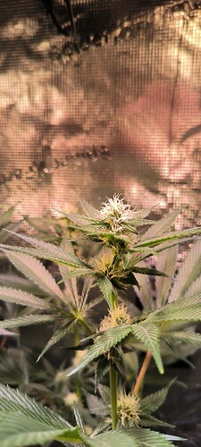 Growreport Bild 12