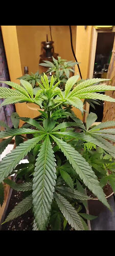 Screenshot_2026-02-22-19-47-27-540_com.miui.gallery