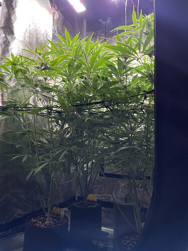 Growreport Bild 9