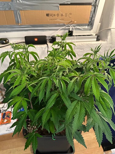 Growreport Bild 16