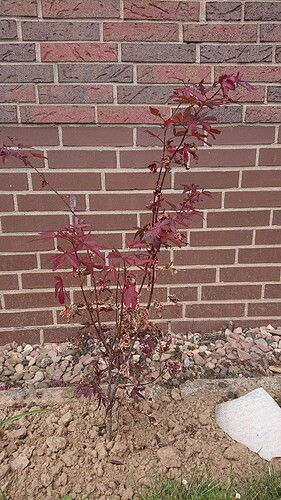 Growreport Bild 24