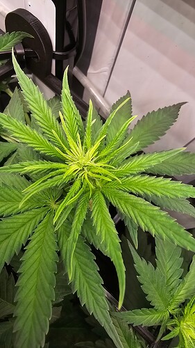 Growreport Bild 3
