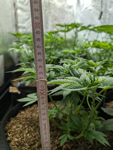 Growreport Bild 14