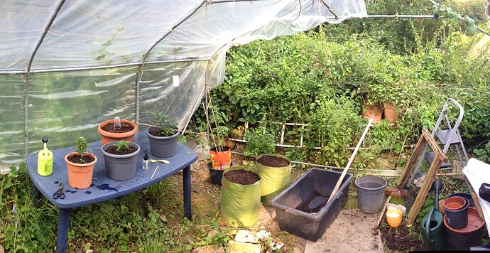 Growreport Bild 28