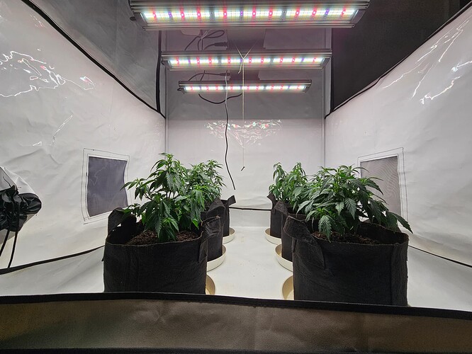 Growreport Bild 3