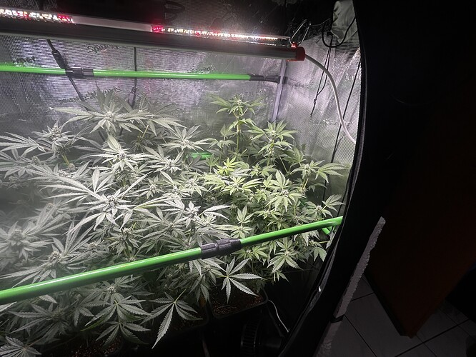 Growreport Bild 50