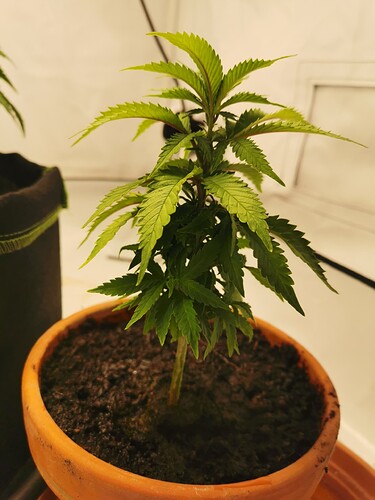 Growreport Bild 16