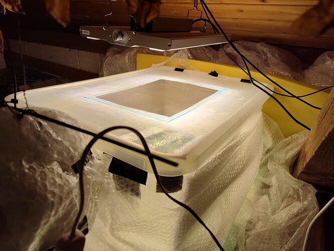 IMG_20251217_193810398_HDR