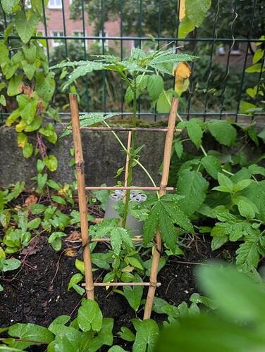 Growreport Bild 11