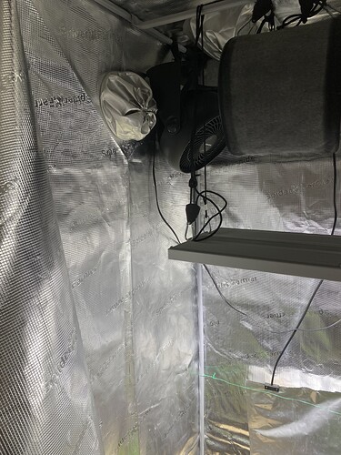 Growreport Bild 44