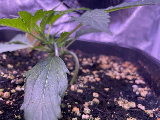 Growreport Bild 15