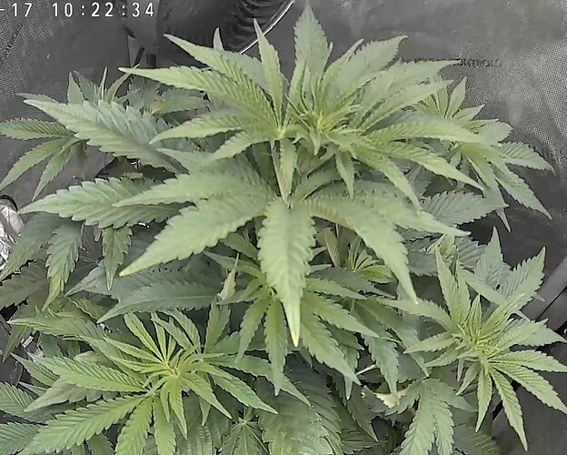 Growreport Bild 1
