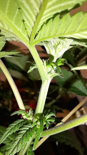 Growreport Bild 8