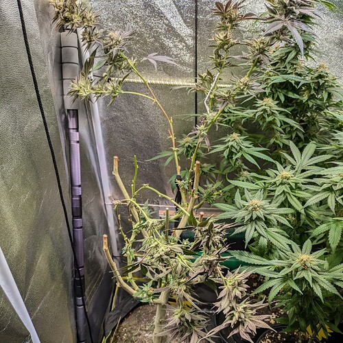 Growreport Bild 7
