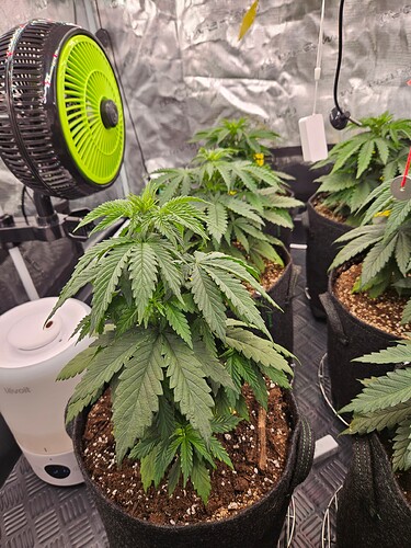Growreport Bild 8