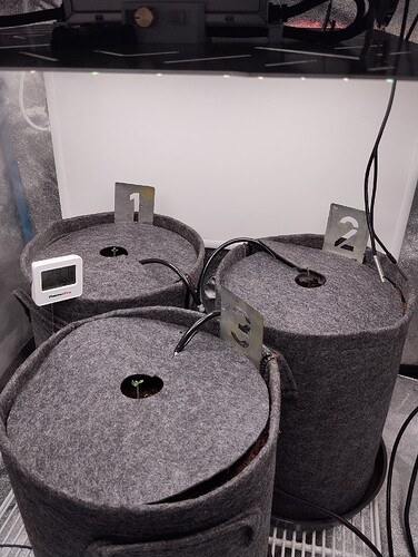 Growreport Bild 12