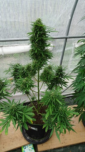 Growreport Bild 14