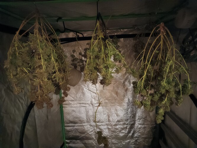 Growreport Bild 1