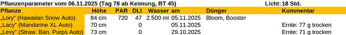 Growreport Bild 55