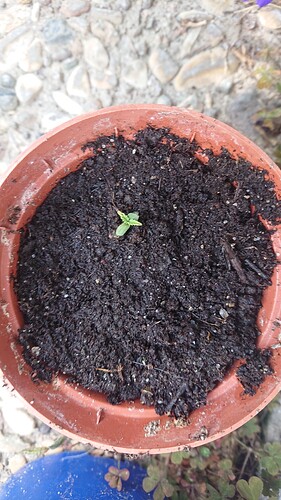 Growreport Bild 11
