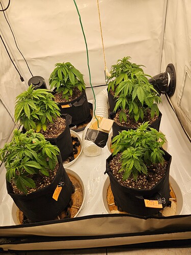 Growreport Bild 15