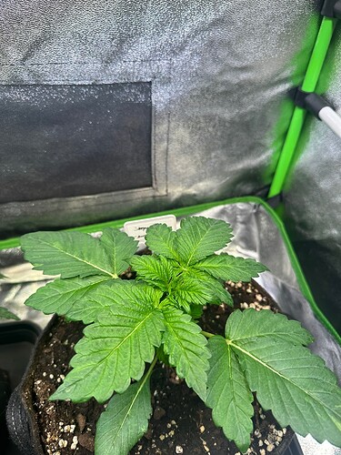 Growreport Bild 18