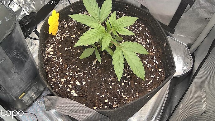Growreport Bild 4