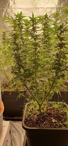 Growreport Bild 10