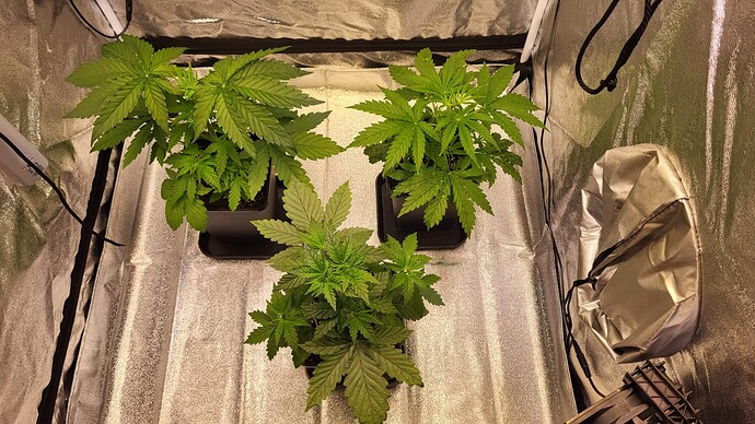 Growreport Bild 10