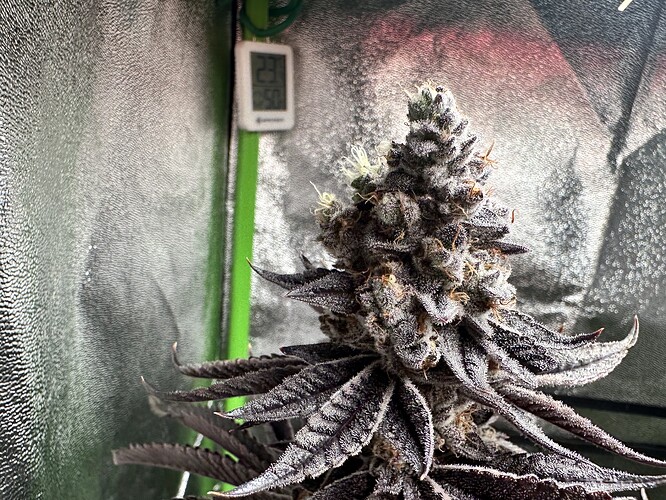 Growreport Bild 22