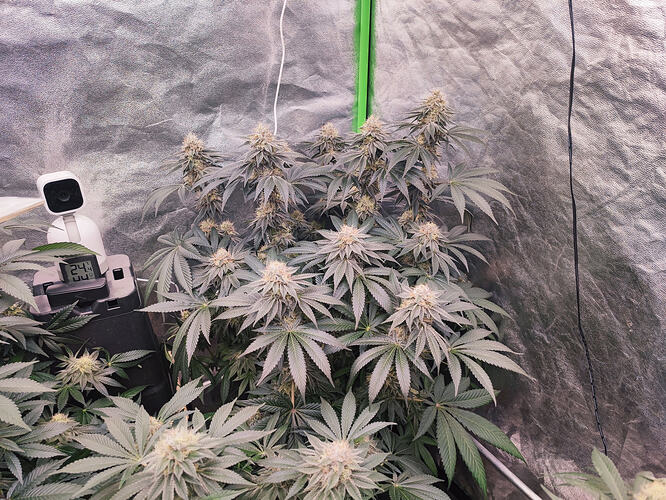 Growreport Bild 22