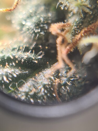 Growreport Bild 22