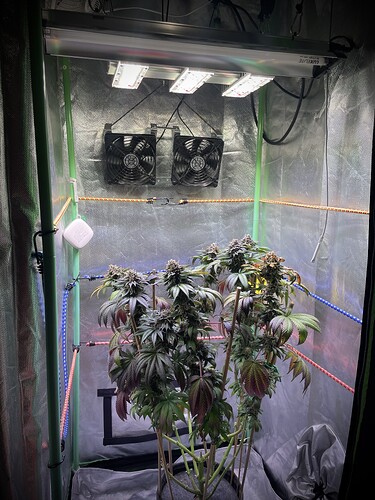Growreport Bild 8