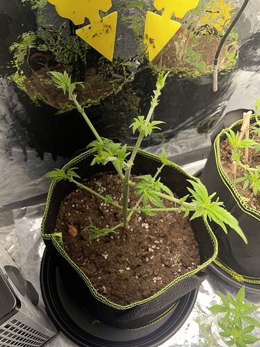 Growreport Bild 1
