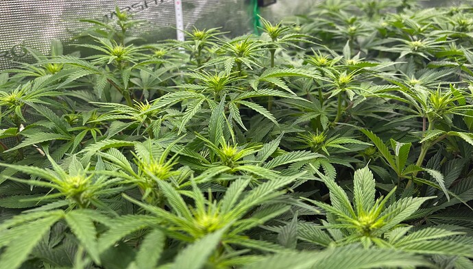 Foto 30.12.25, 13 41 10