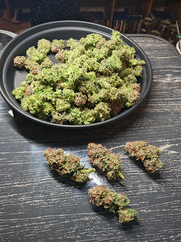Growreport Bild 9