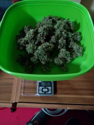 Growreport Bild 3