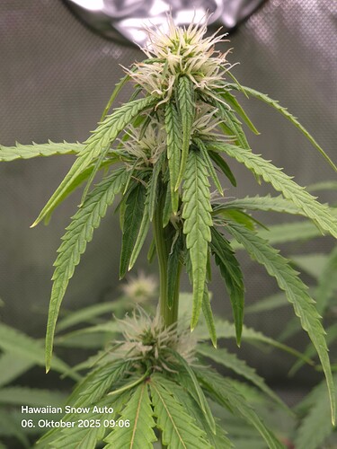 Growreport Bild 14