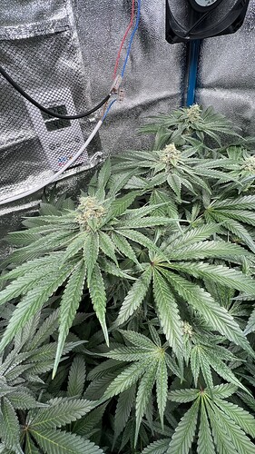 Growreport Bild 8