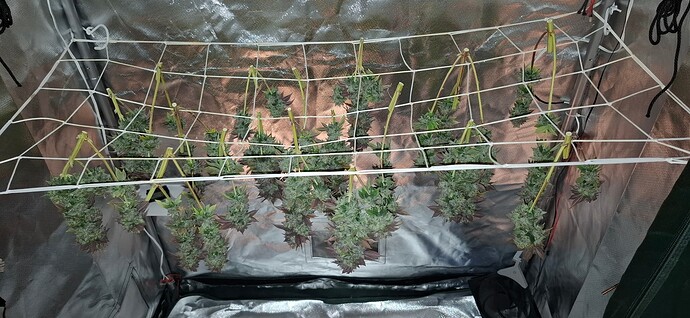 Growreport Bild 5