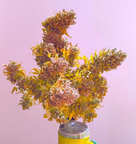 Growreport Bild 54
