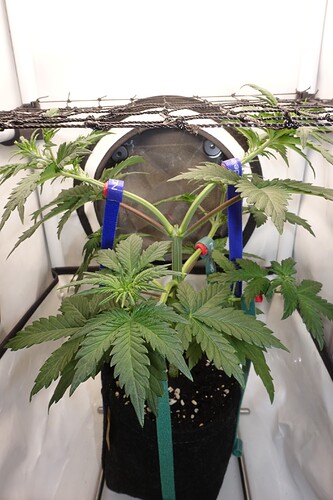 Growreport Bild 22