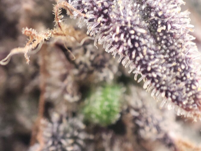 Growreport Bild 14