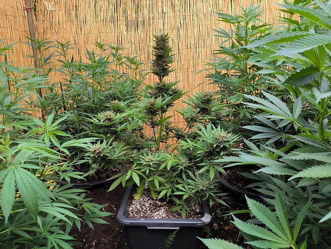 f9b152e43db97b4f44194d520f63753fb8189be6 (1)