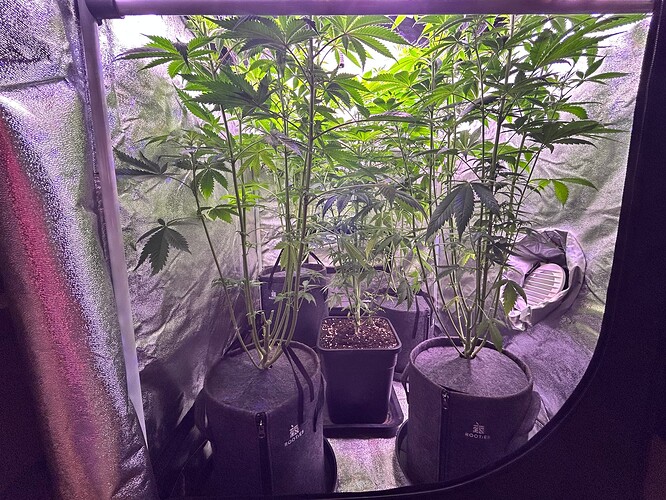 Growreport Bild 24
