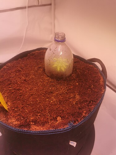 Growreport Bild 2