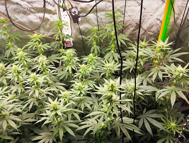 Growreport Bild 12