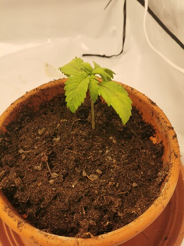 17148495945517238178924116479395