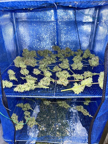 Growreport Bild 21