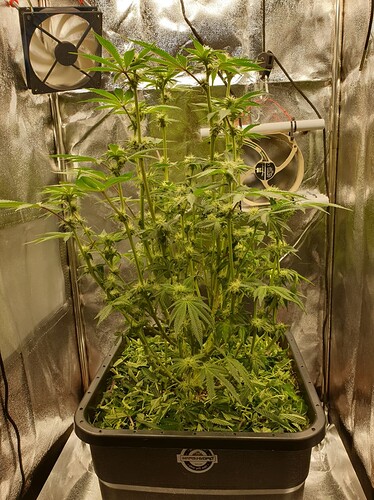 Growreport Bild 5